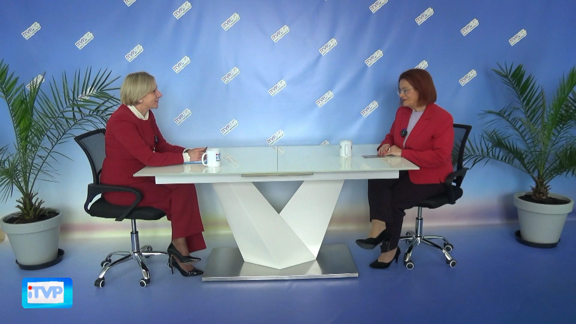 Polityka, wiara i hejt. Rozmowa z poseł Kurowską
